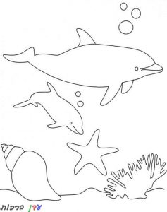 דף צביעה 2 דולפינים במים 1jpg