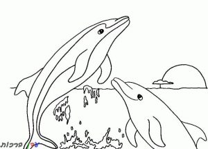 דף צביעה 2 דולפינים קופצים מהים 1jpg