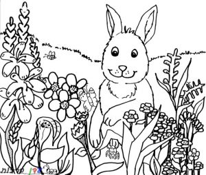 דף צביעה ארנב באביב 1jpg