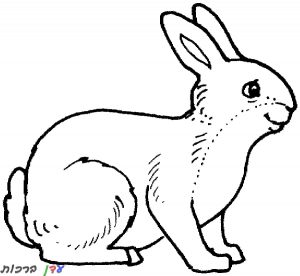 דף-צביעה-ארנב-עומד-עם-עיניים-עצובות-1.jpg