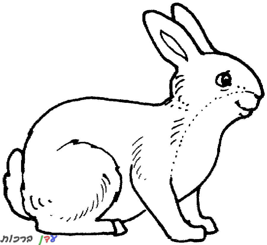 דף צביעה ארנב עומד עם עיניים עצובות 1jpg