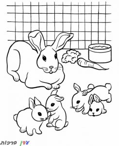 דף צביעה ארנבים גורים ולידם אמם 1jpg