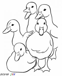 דף-צביעה-ברווזים-גדולים-1.jpg