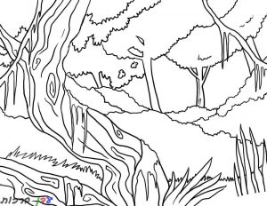 דף צביעה גונגל עם עצים 1jpg