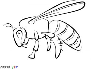 דף צביעה דבורה מתעופפת 1jpg