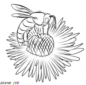 דף צביעה דבורה על פרח 1jpg