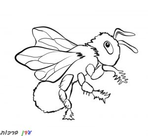 דף צביעה דבורה עם כנפיים 1jpg