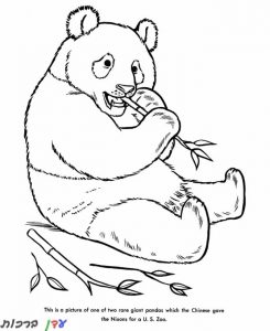 דף צביעה דוב פנדה יושב ואוכל 1jpg