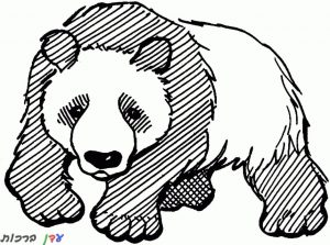 דף צביעה דוב פנדה על ארבע 1jpg