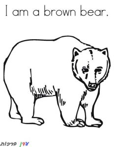 דף צביעה דובי חום 1jpg