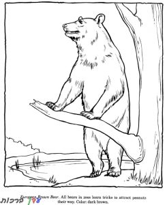 דף צביעה דובי נשען על עץ 1jpg