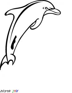 דף צביעה דולפין קופץ ימינה 1jpg