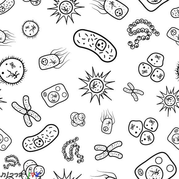 דף צביעה וירוסים וחיידקים קורונה 1jpg