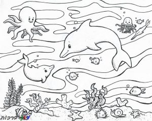 דף-צביעה-חיות-ים-בתוך-לשונית-הים-1.jpg