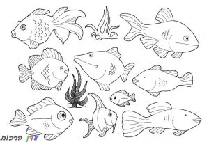 דף צביעה חיות ים דגים 1jpg