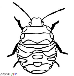 דף צביעה חיפושית עם צורות 1jpg