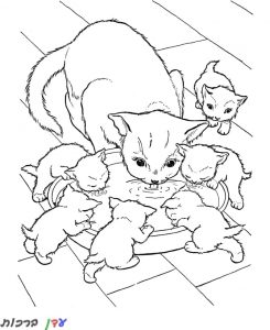 דף-צביעה-חתולים-גורים-שותים-1.jpg