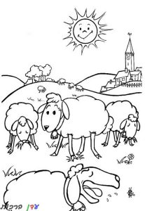 דף צביעה כבשה כבשים בשמש 1jpg
