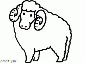 דף צביעה כבשה מופתעת 1jpg