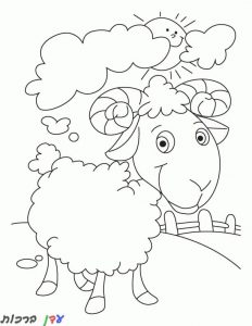דף צביעה כבשה קטנה 1jpg