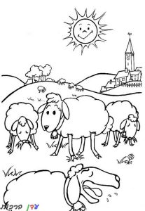 דף צביעה כבשות בחווה 1jpg