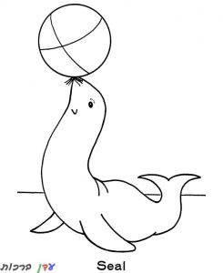 דף צביעה כלב ים מקפיץ כדור 1jpg