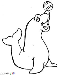 דף צביעה כלב ים משחק בכדור 1jpg