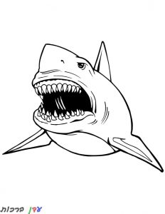 דף צביעה כריש מפחיד 1jpg
