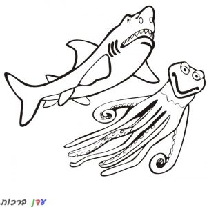 דף צביעה כריש עם תמנון 1jpg