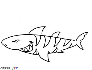 דף צביעה כריש ערמומי 1jpg