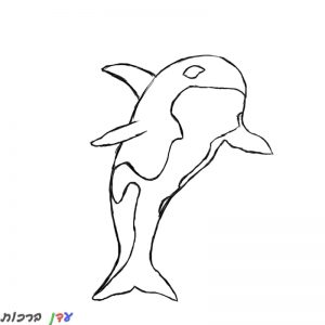 דף צביעה לוויתן באוויר 1jpg