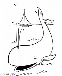 דף צביעה לוויתן משפריץ מים 1jpg