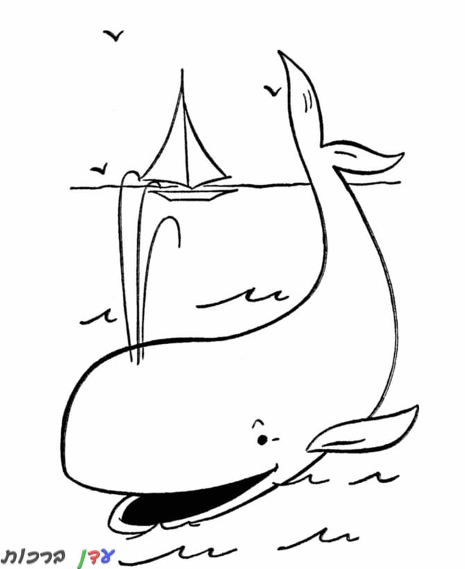דף צביעה לוויתן משפריץ מים 1jpg