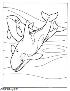 דף צביעה לוויתנים שוחים