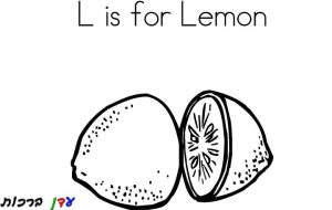 דף צביעה לימון חצוי 1jpg