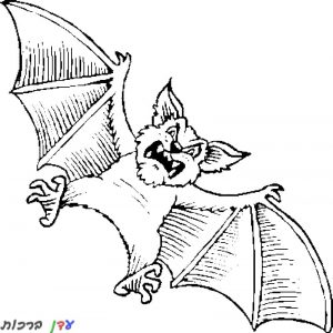 דף צביעה עטלף עצבני 1jpg