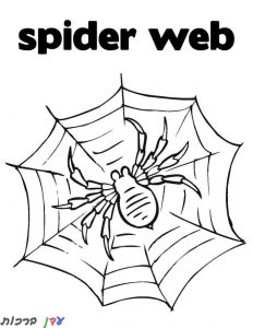 דף-צביעה-עכביש-על-קורי-1.jpg