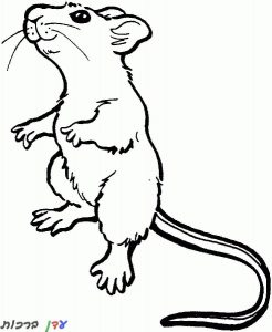 דף-צביעה-עכבר-עומד-על-שתיים-1.jpg