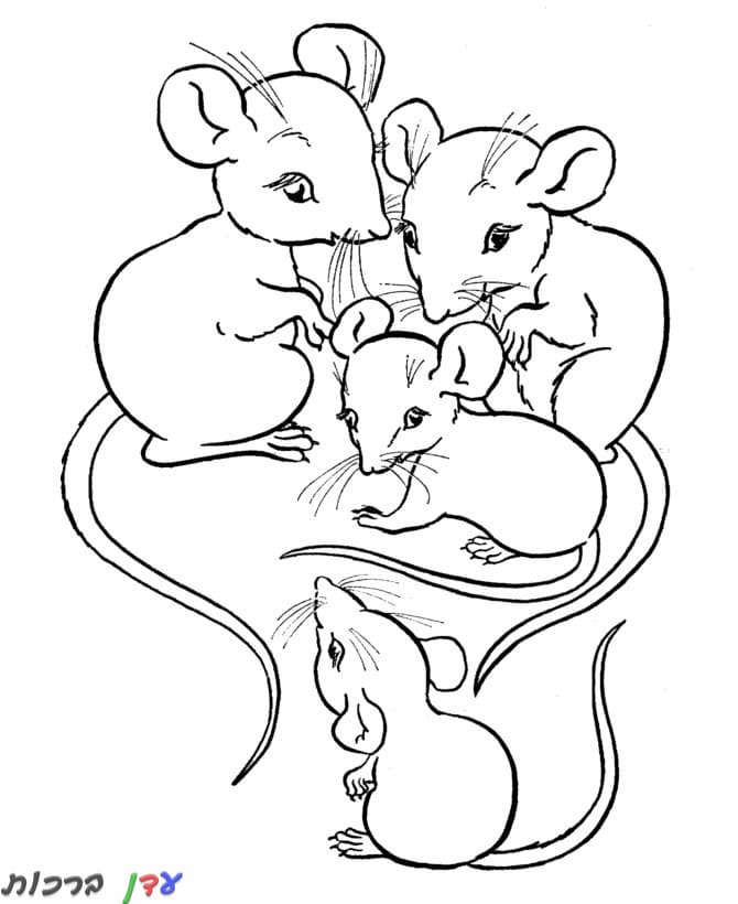 דף צביעה עכברים קטנים 1jpg