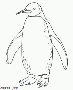 דף צביעה פינגווין עם ידיים פתוחות 1jpg