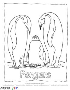 דף-צביעה-פינגווינים-מסתכלים-מהגובה-1.jpg
