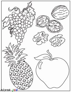 דף צביעה פירות טו בשבט 1jpg