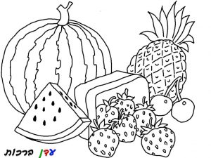 דף צביעה פירות קיץ 1jpg