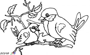 דף-צביעה-ציפורים-על-ענף-1.jpg