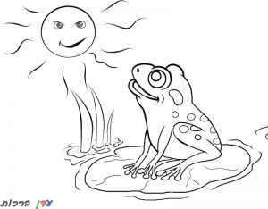 דף צביעה צפרדע מסתכלת על השמש 1jpg