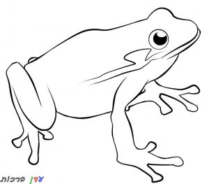 דף צביעה צפרדע עם עיניים גדולות 1jpg