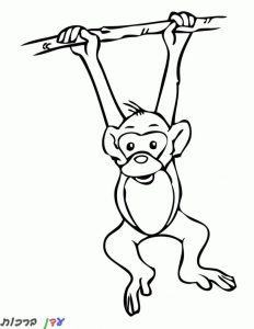 דף צביעה קוף מחזיק בענף 1jpg