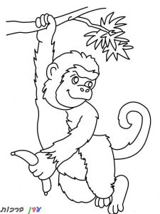 דף צביעה קוף על עץ 1jpg