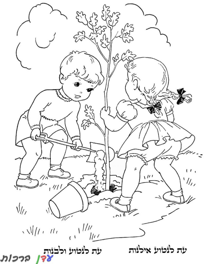 דף צביעה שני ילדים שותלים עץ טו בשבט 1jpg