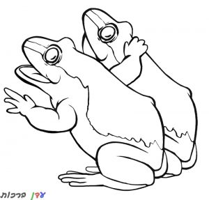 דף-צביעה-שני-צפרדעים-1.jpg